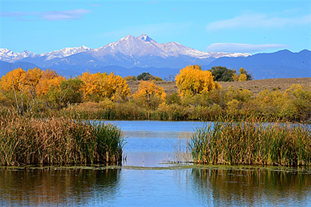 Firestone - St. Vrain State Park Discover Weld