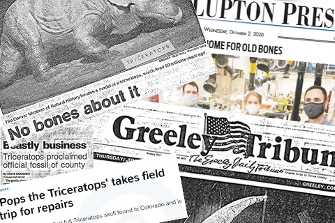 Greeley Tribune and Fort Lupton Press articles about Pops the Triceratops